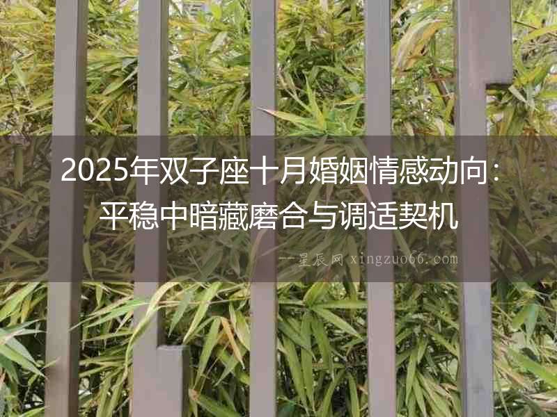 2025年雙子座十月婚姻情感動向：平穩中暗藏磨合與調適契機