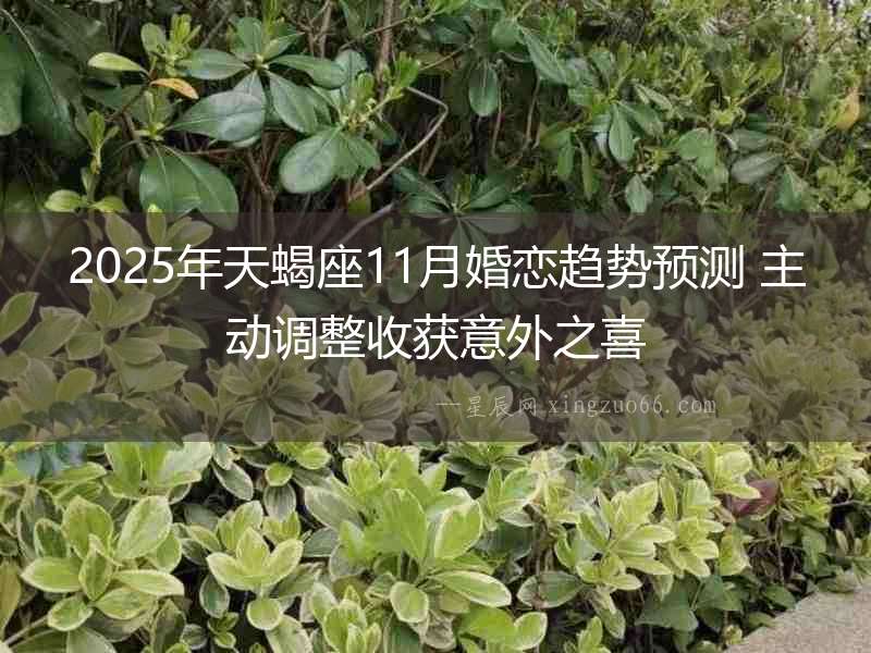 2025年天蝎座11月婚戀趨勢預(yù)測 主動調(diào)整收獲意外之喜