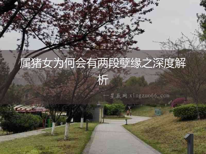 屬豬女為何會有兩段孽緣之深度解析
