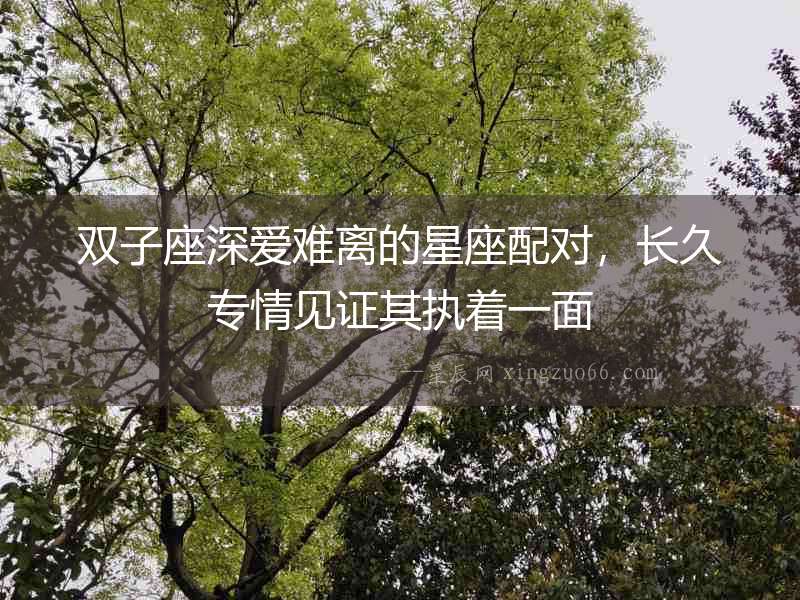 雙子座深愛難離的星座配對，長久專情見證其執(zhí)著一面