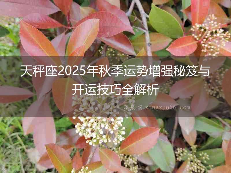 天秤座2025年秋季運勢增強秘笈與開運技巧全解析
