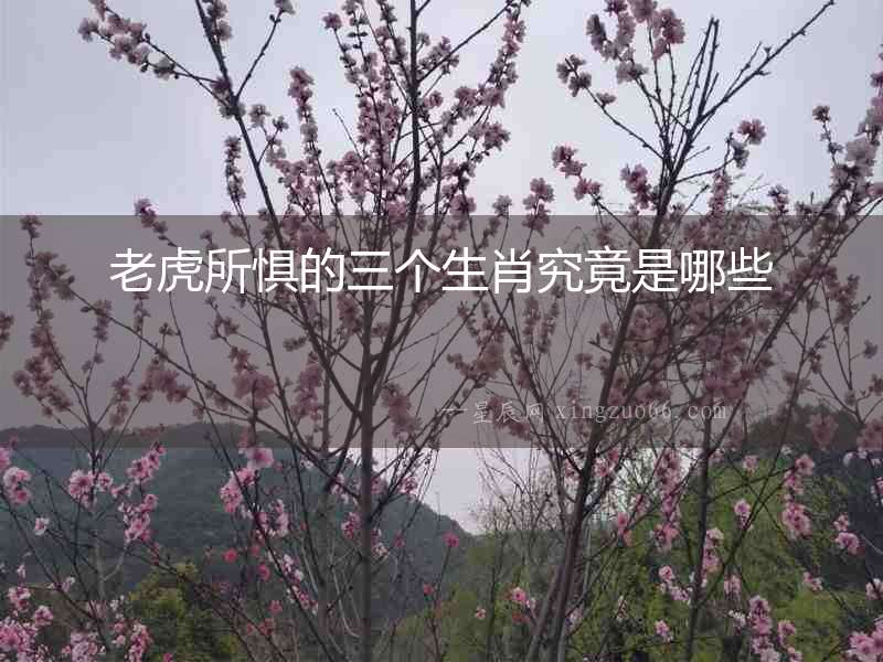 老虎所懼的三個生肖究竟是哪些