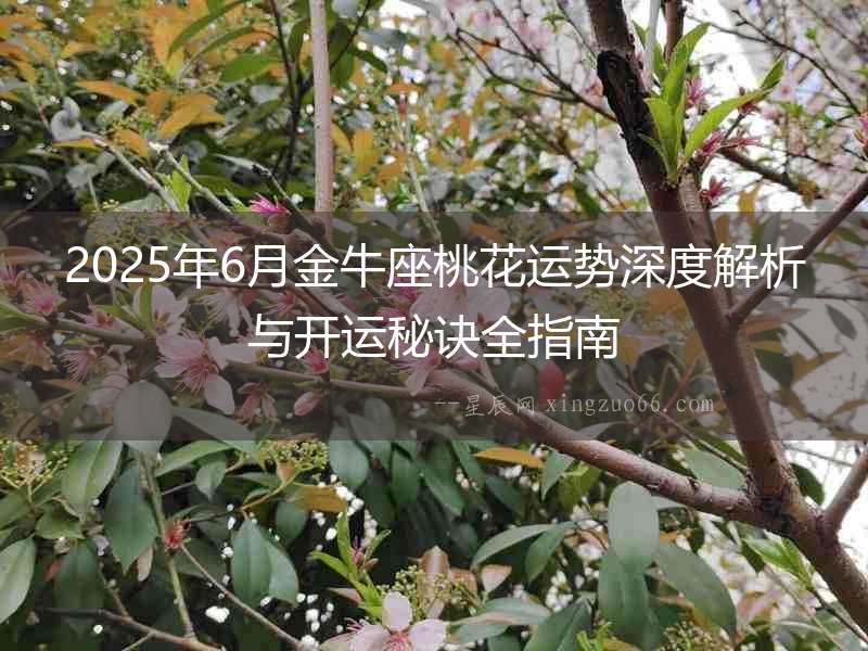 2025年6月金牛座桃花運(yùn)勢(shì)深度解析與開運(yùn)秘訣全指南