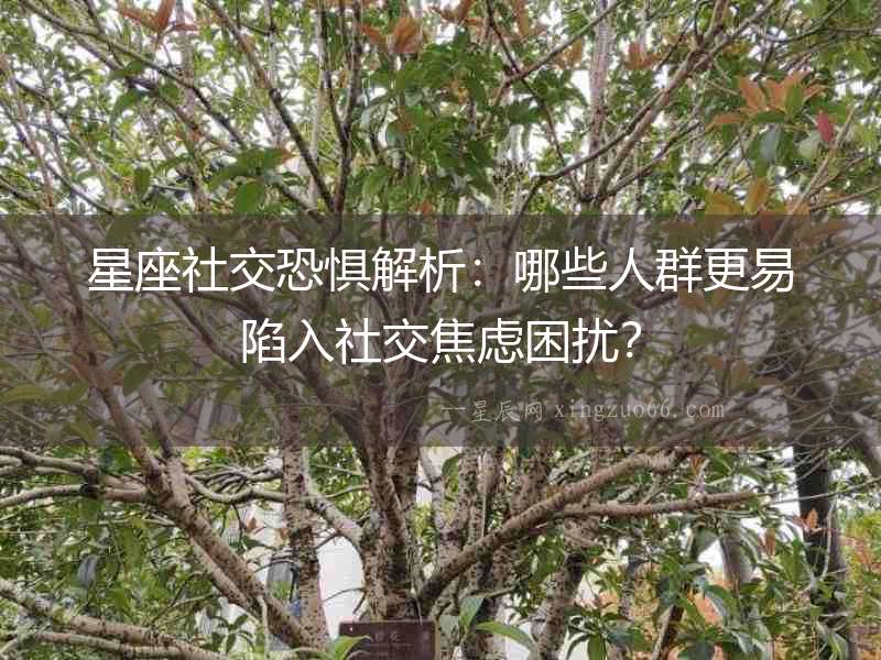 星座社交恐懼解析：哪些人群更易陷入社交焦慮困擾？