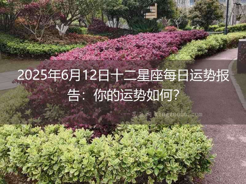 2025年6月12日十二星座每日運勢報告：你的運勢如何？