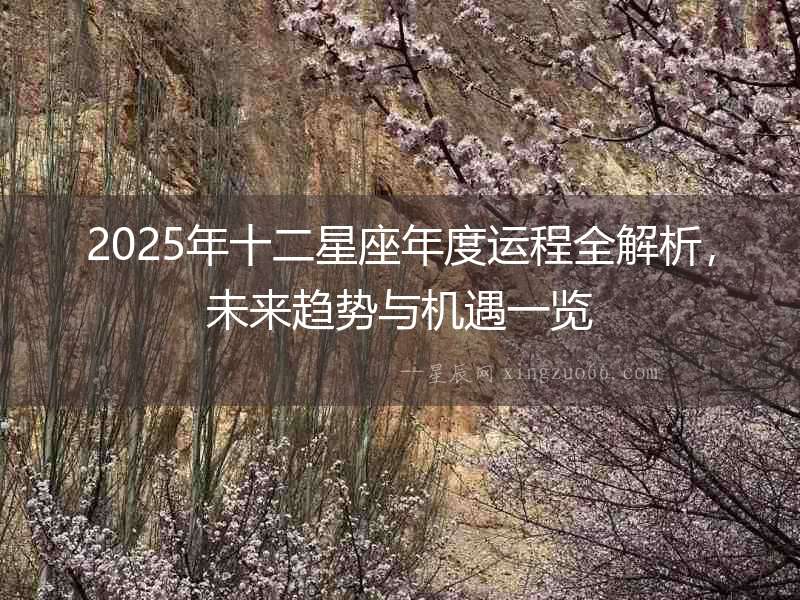 2025年十二星座年度運程全解析，未來趨勢與機遇一覽