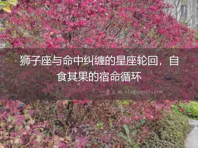 獅子座與命中糾纏的星座輪回，自食其果的宿命循環(huán)