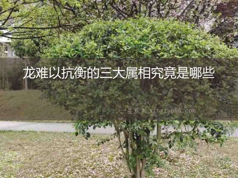 龍難以抗衡的三大屬相究竟是哪些