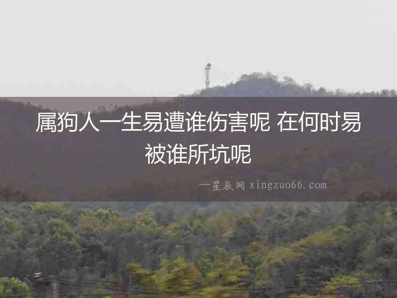 屬狗人一生易遭誰傷害呢 在何時易被誰所坑呢