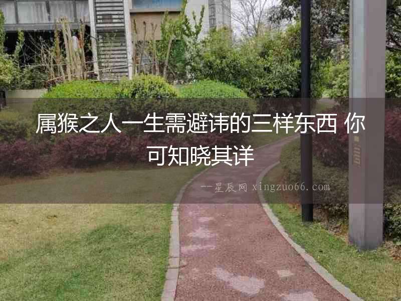 屬猴之人一生需避諱的三樣?xùn)|西 你可知曉其詳