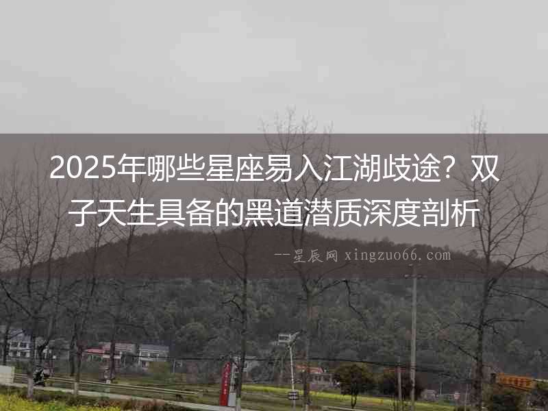 2025年哪些星座易入江湖歧途？雙子天生具備的黑道潛質深度剖析
