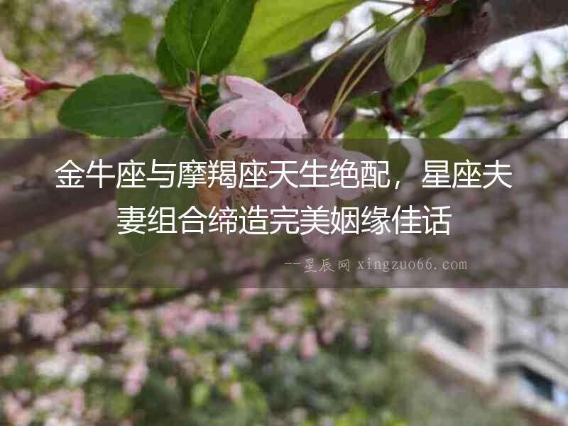 金牛座與摩羯座天生絕配，星座夫妻組合締造完美姻緣佳話