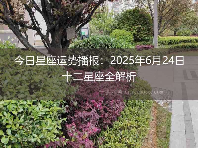 今日星座運(yùn)勢播報(bào)：2025年6月24日十二星座全解析