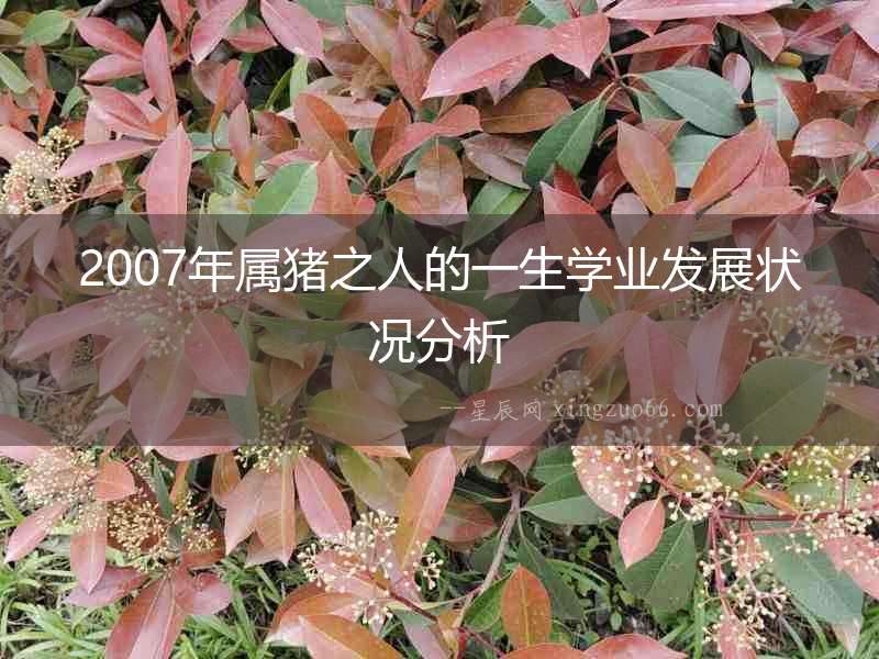 2007年屬豬之人的一生學業發展狀況分析