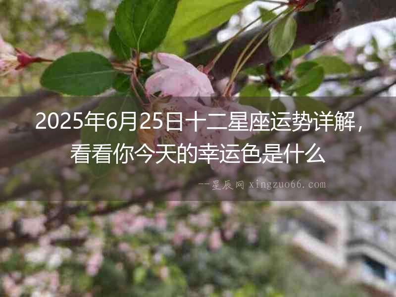 2025年6月25日十二星座運勢詳解，看看你今天的幸運色是什么