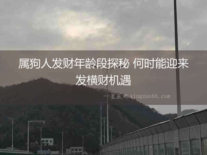 屬狗人發(fā)財(cái)年齡段探秘 何時(shí)能迎來發(fā)橫財(cái)機(jī)遇