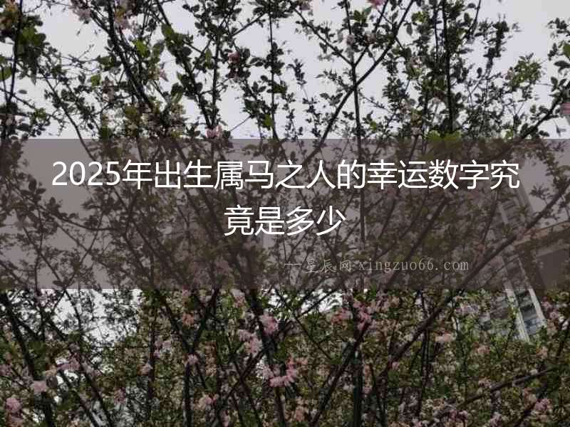 2025年出生屬馬之人的幸運數字究竟是多少