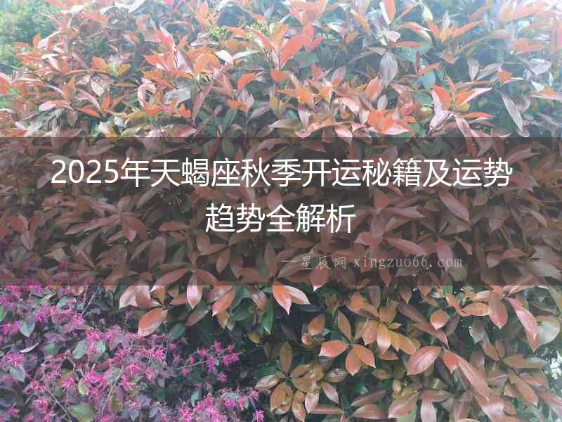 2025年天蝎座秋季開運秘籍及運勢趨勢全解析