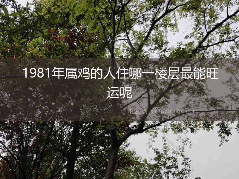 1981年屬雞的人住哪一樓層最能旺運呢