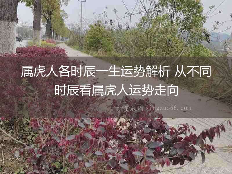 屬虎人各時辰一生運勢解析 從不同時辰看屬虎人運勢走向