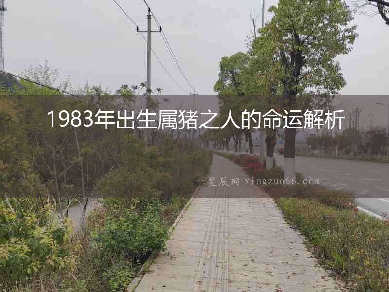 1983年出生屬豬之人的命運解析