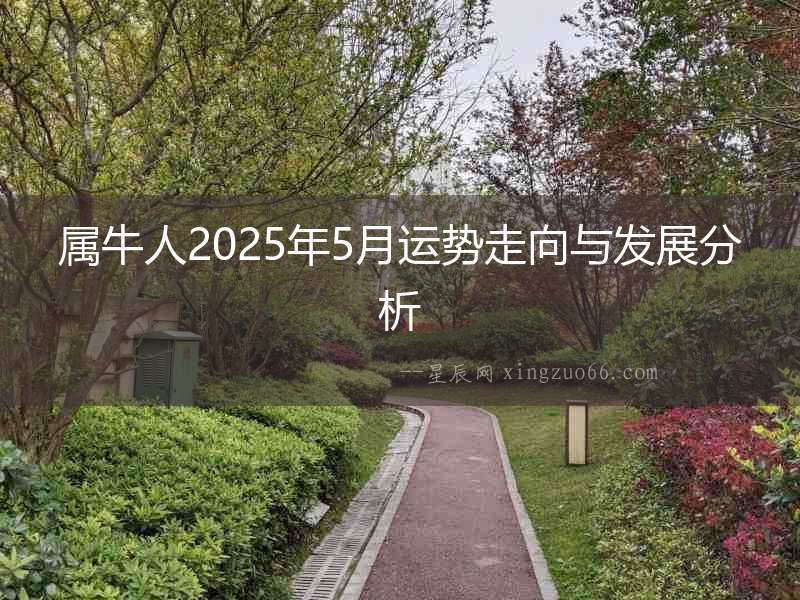 屬牛人2025年5月運勢走向與發展分析
