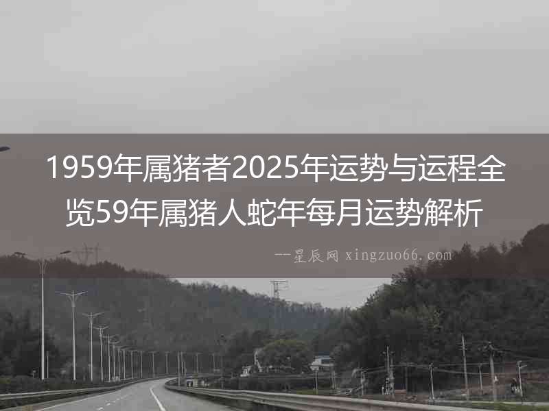 1959年屬豬者2025年運勢與運程全覽59年屬豬人蛇年每月運勢解析