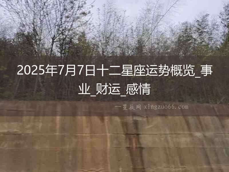2025年7月7日十二星座運勢概覽_事業_財運_感情