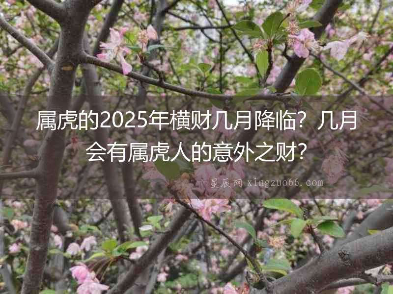 屬虎的2025年橫財幾月降臨？幾月會有屬虎人的意外之財？