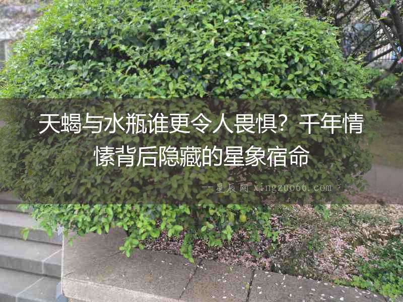 天蝎與水瓶誰更令人畏懼？千年情愫背后隱藏的星象宿命