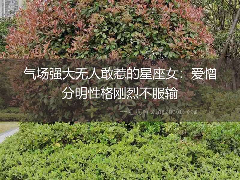 氣場強大無人敢惹的星座女：愛憎分明性格剛烈不服輸