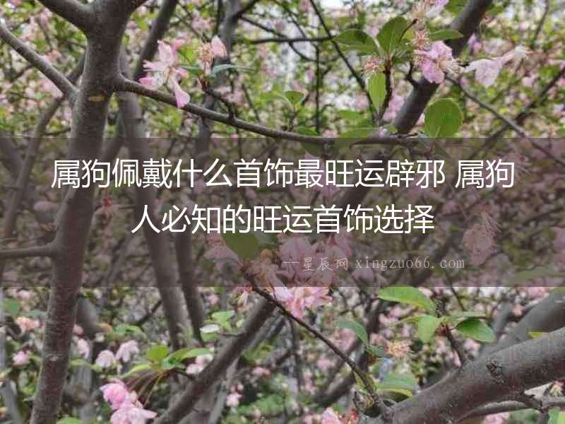 屬狗佩戴什么首飾最旺運辟邪 屬狗人必知的旺運首飾選擇
