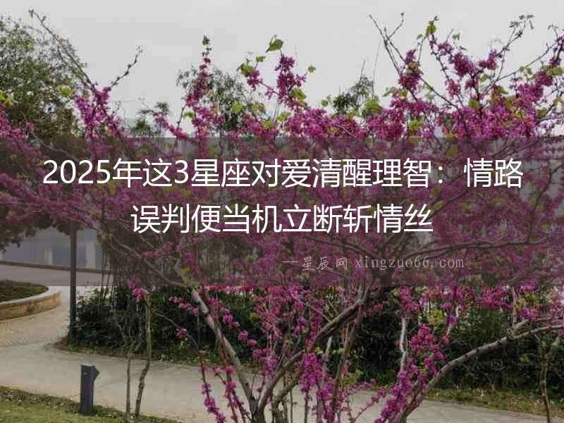 2025年這3星座對(duì)愛清醒理智：情路誤判便當(dāng)機(jī)立斷斬情絲