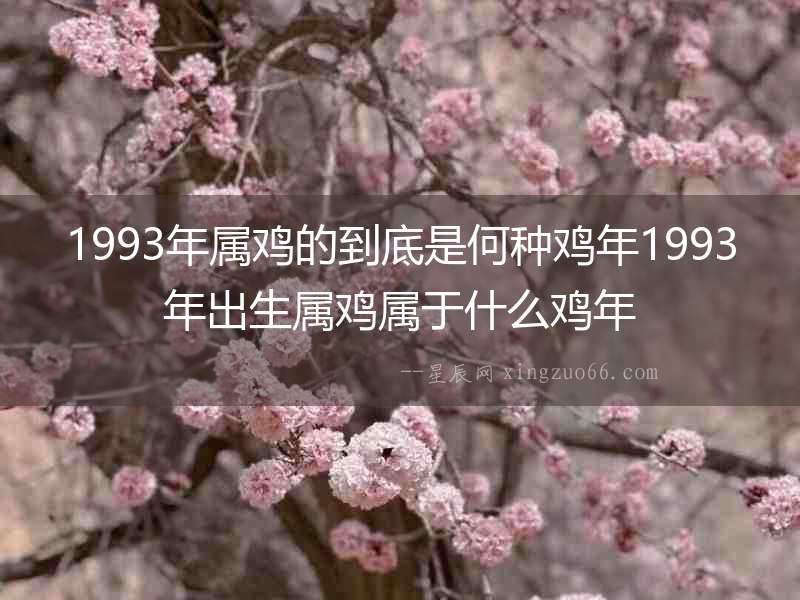 1993年屬雞的到底是何種雞年1993年出生屬雞屬于什么雞年