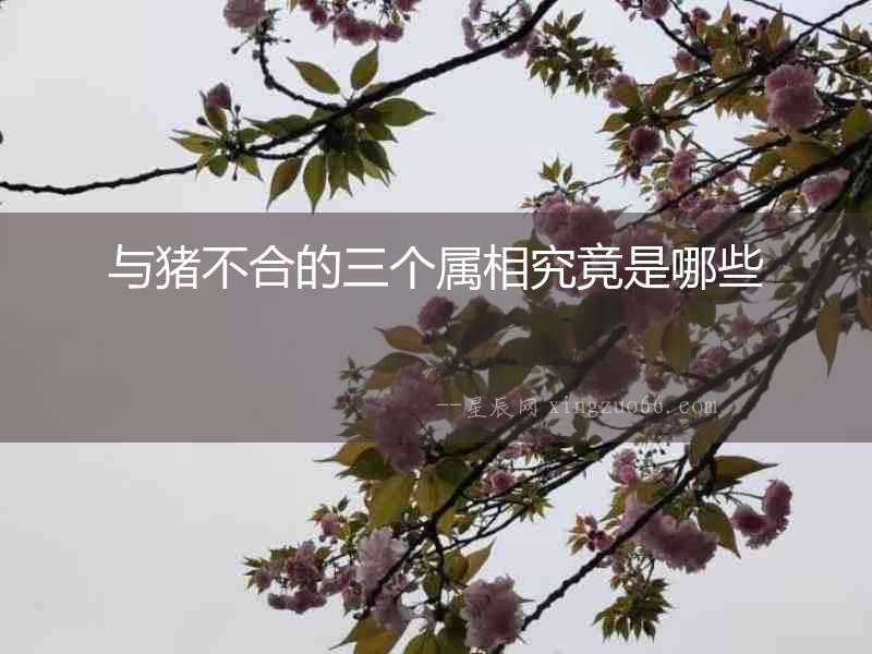 與豬不合的三個屬相究竟是哪些