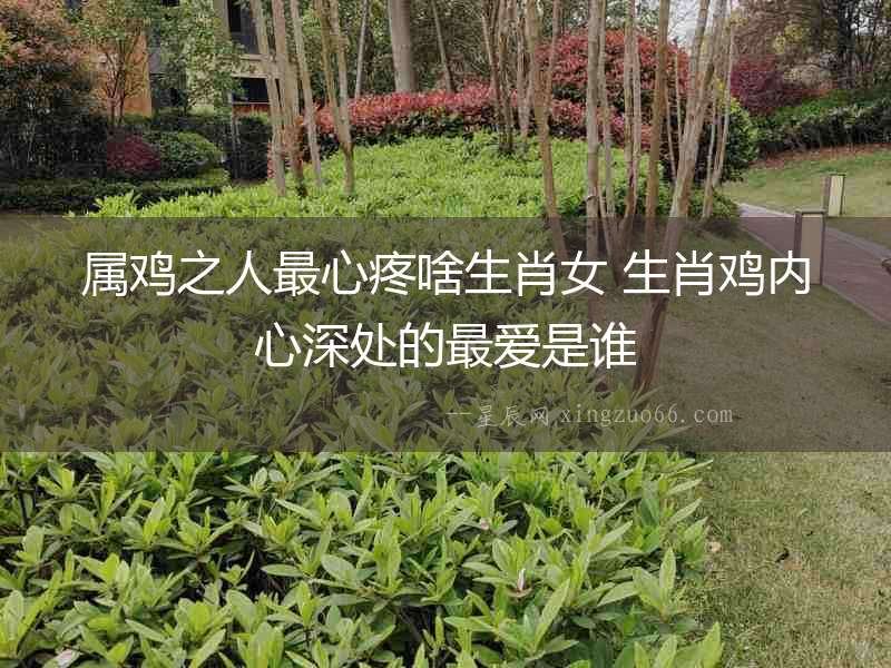 屬雞之人最心疼啥生肖女 生肖雞內心深處的最愛是誰