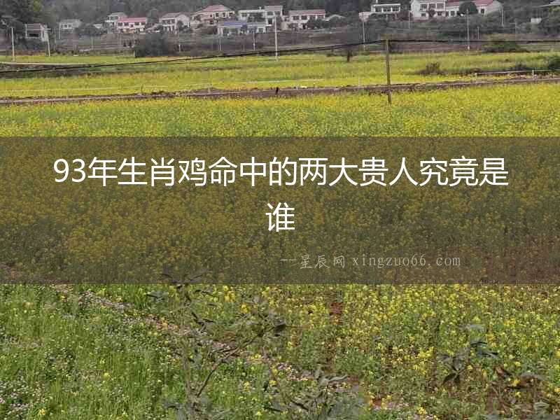 93年生肖雞命中的兩大貴人究竟是誰