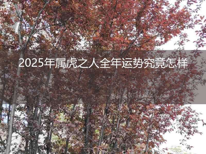 2025年屬虎之人全年運(yùn)勢(shì)究竟怎樣