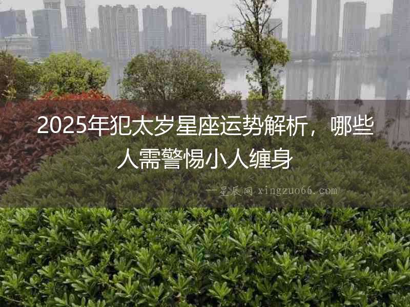 2025年犯太歲星座運勢解析，哪些人需警惕小人纏身