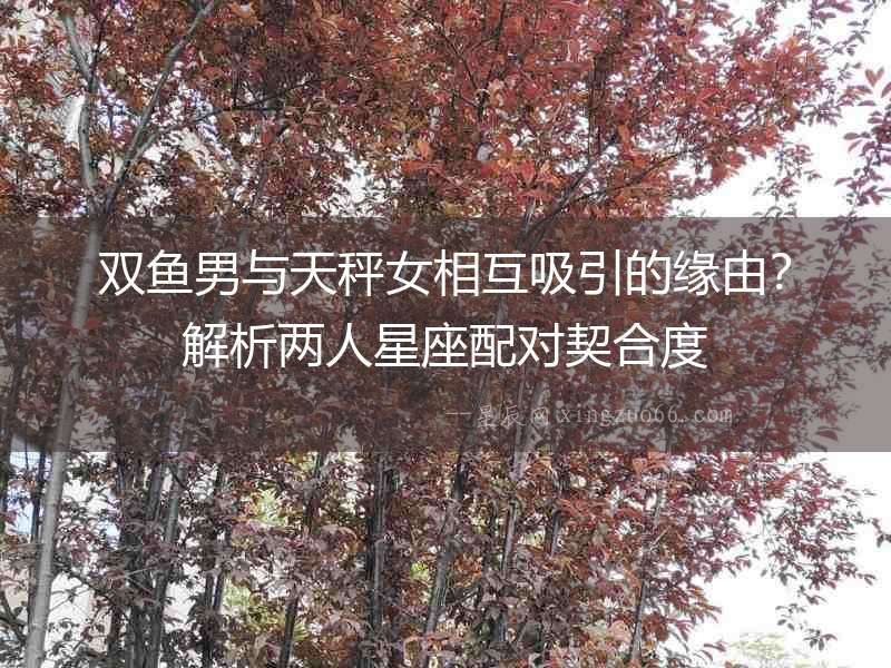 雙魚男與天秤女相互吸引的緣由？解析兩人星座配對(duì)契合度