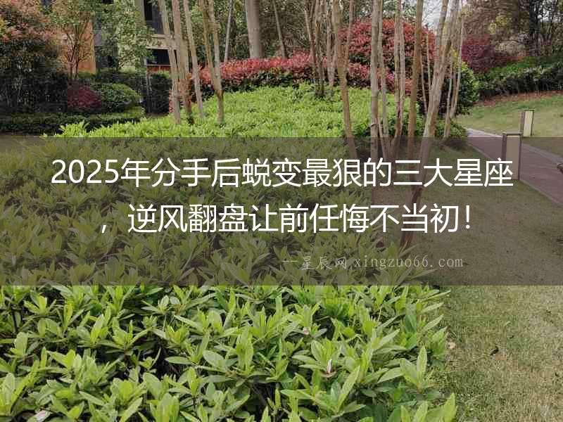 2025年分手后蛻變最狠的三大星座，逆風翻盤讓前任悔不當初！