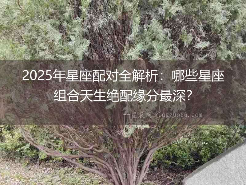 2025年星座配對全解析：哪些星座組合天生絕配緣分最深？
