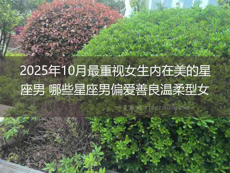 2025年10月最重視女生內(nèi)在美的星座男 哪些星座男偏愛善良溫柔型女生