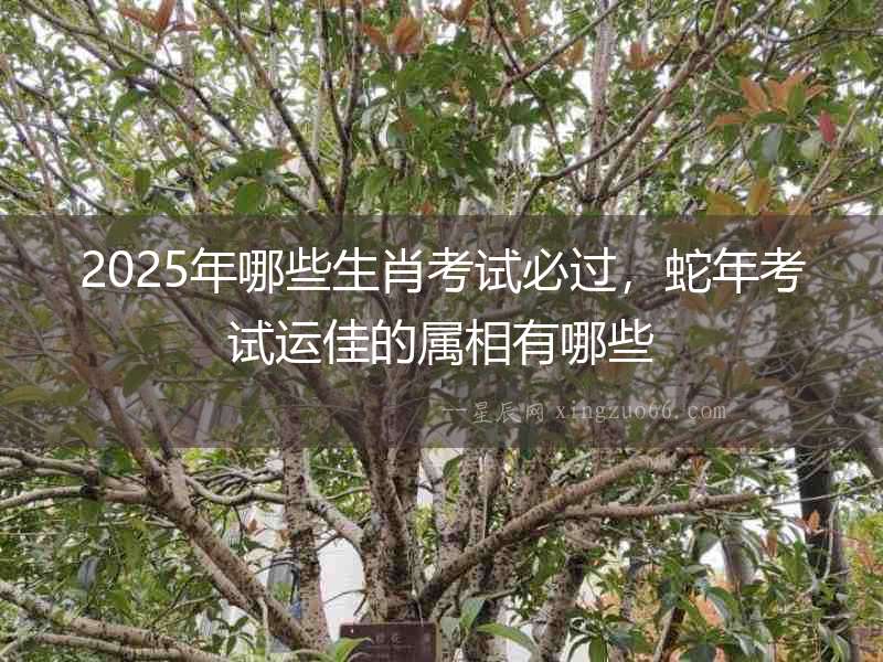 2025年哪些生肖考試必過，蛇年考試運(yùn)佳的屬相有哪些