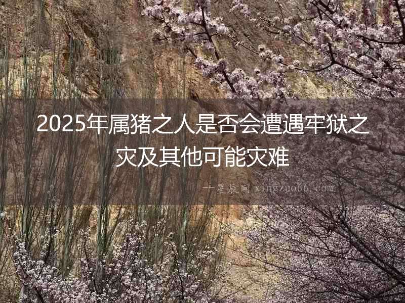 2025年屬豬之人是否會遭遇牢獄之災及其他可能災難