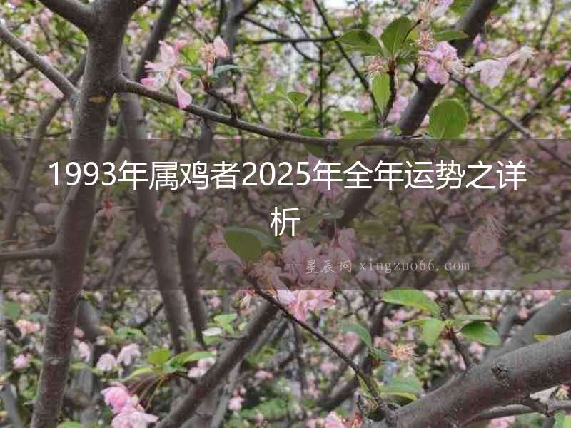 1993年屬雞者2025年全年運勢之詳析