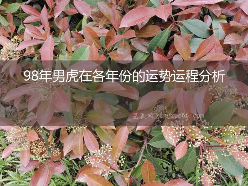 98年男虎在各年份的運勢運程分析