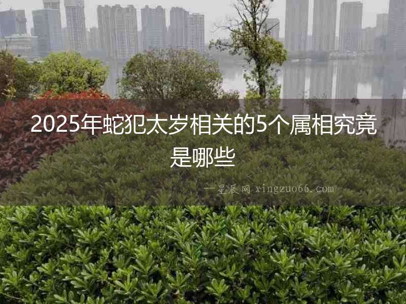 2025年蛇犯太歲相關(guān)的5個屬相究竟是哪些