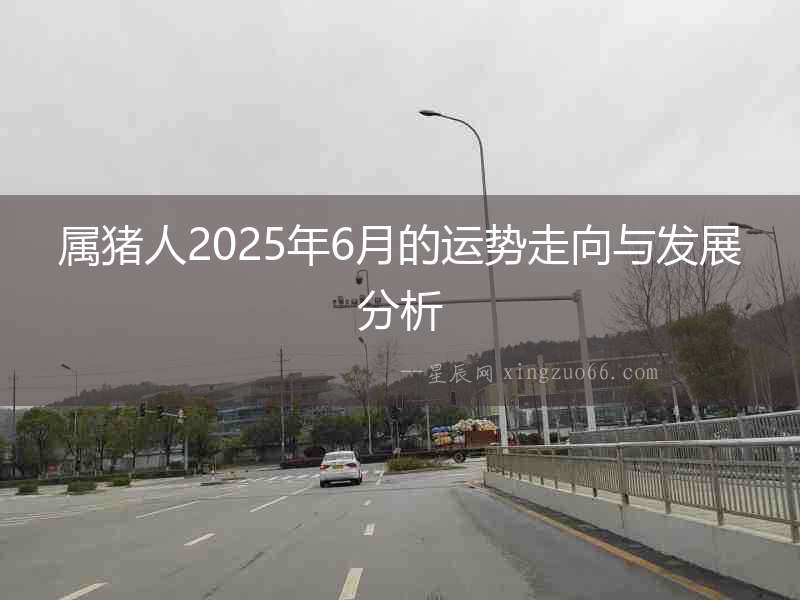 屬豬人2025年6月的運勢走向與發展分析