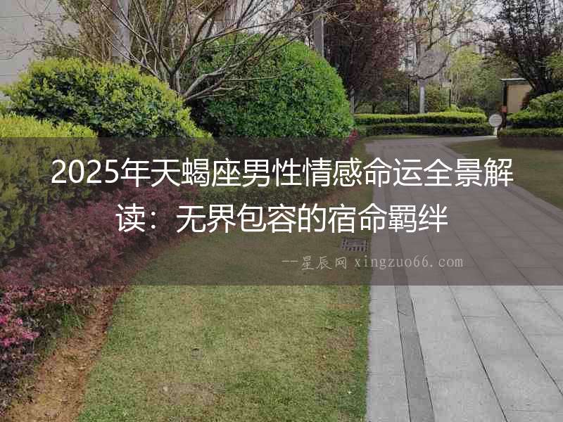 2025年天蝎座男性情感命運全景解讀：無界包容的宿命羈絆